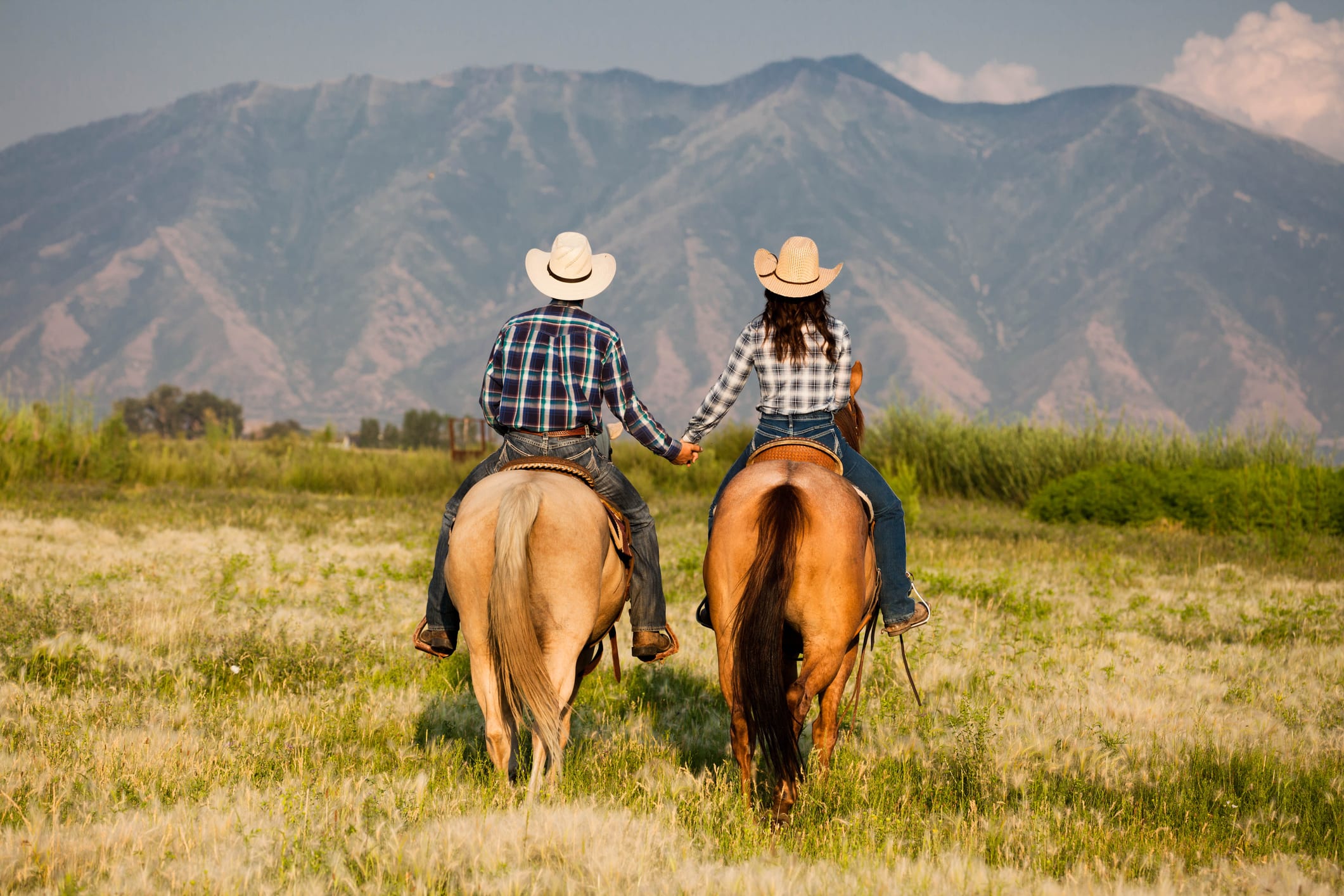 utah cowboy wild west rodeo folk